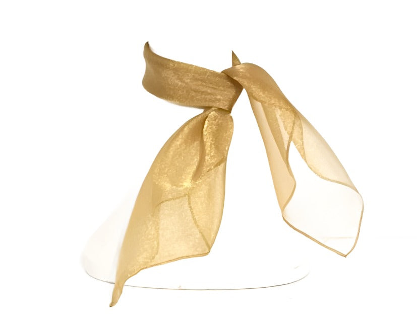 Gold Organza Neck Scarf